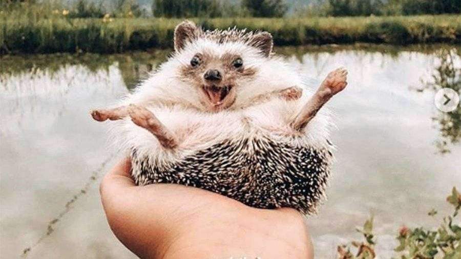 Снимок экрана 2019-09-18 в 0.54.49.jpg