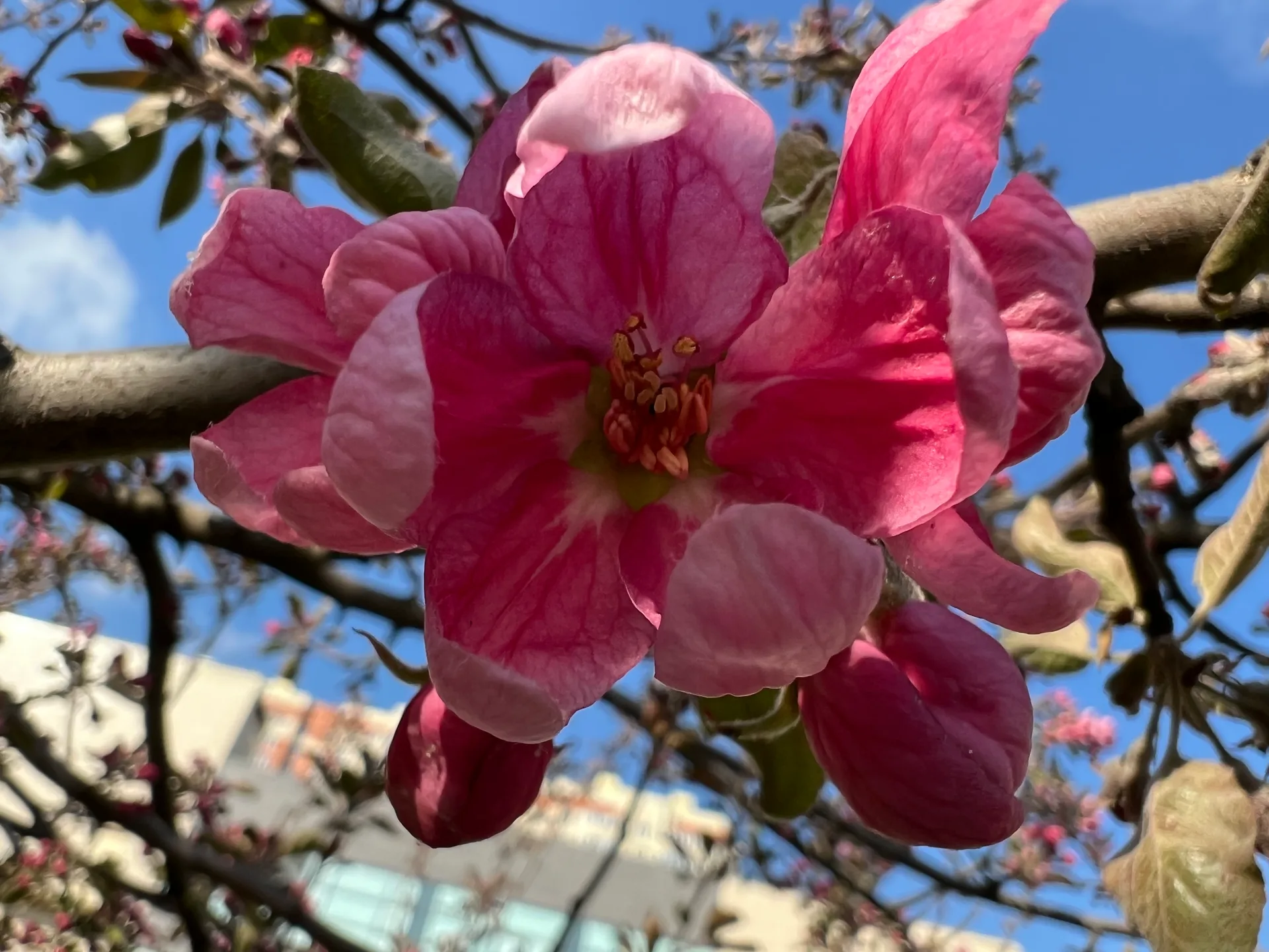 IMG_6980.jpeg