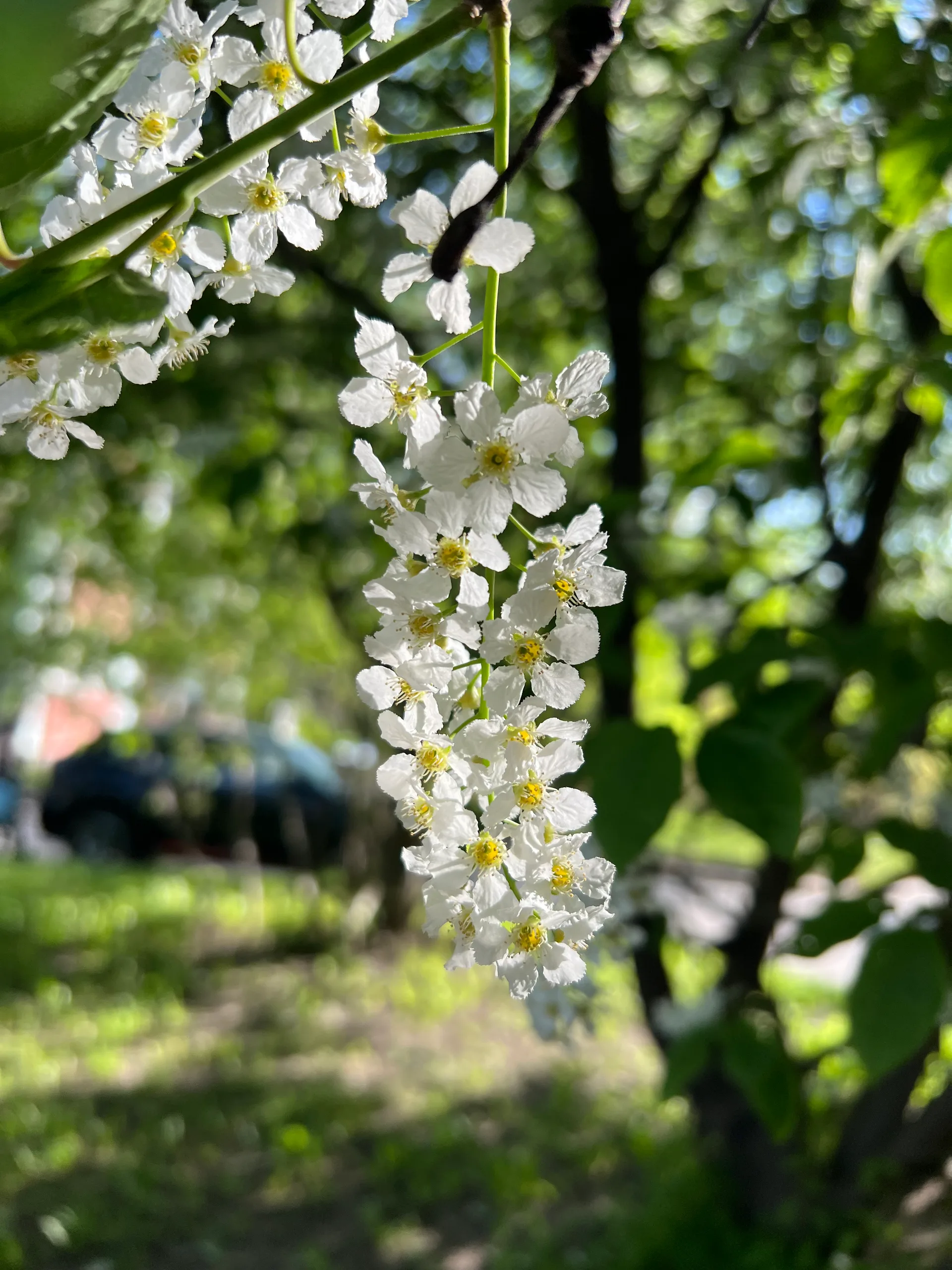 IMG_6976.jpeg