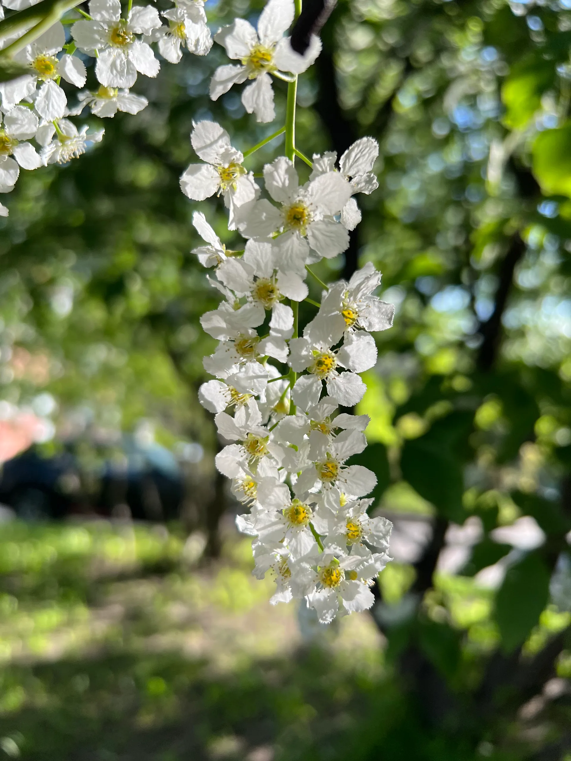 IMG_6975.jpeg