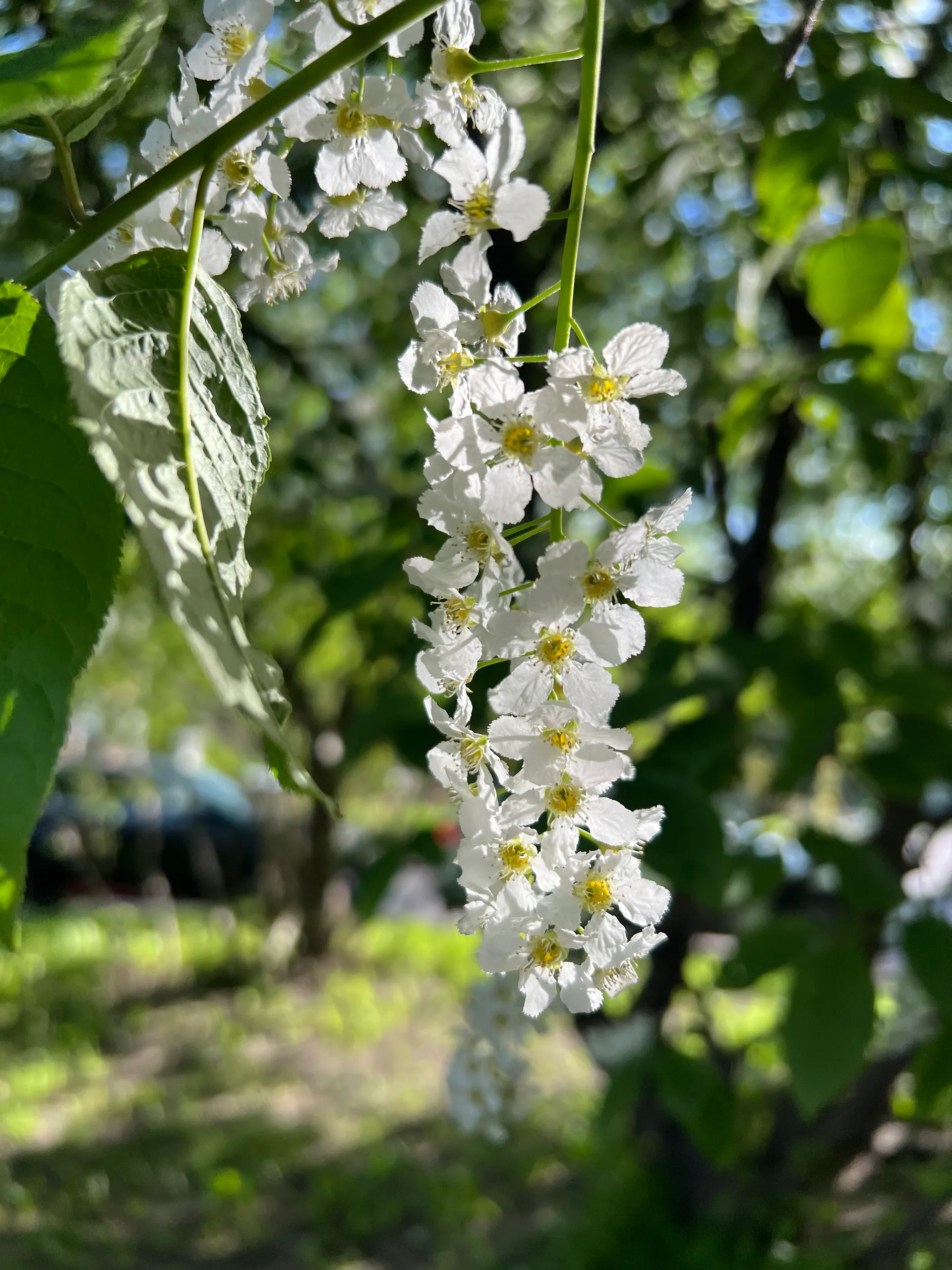 IMG_6973.jpeg