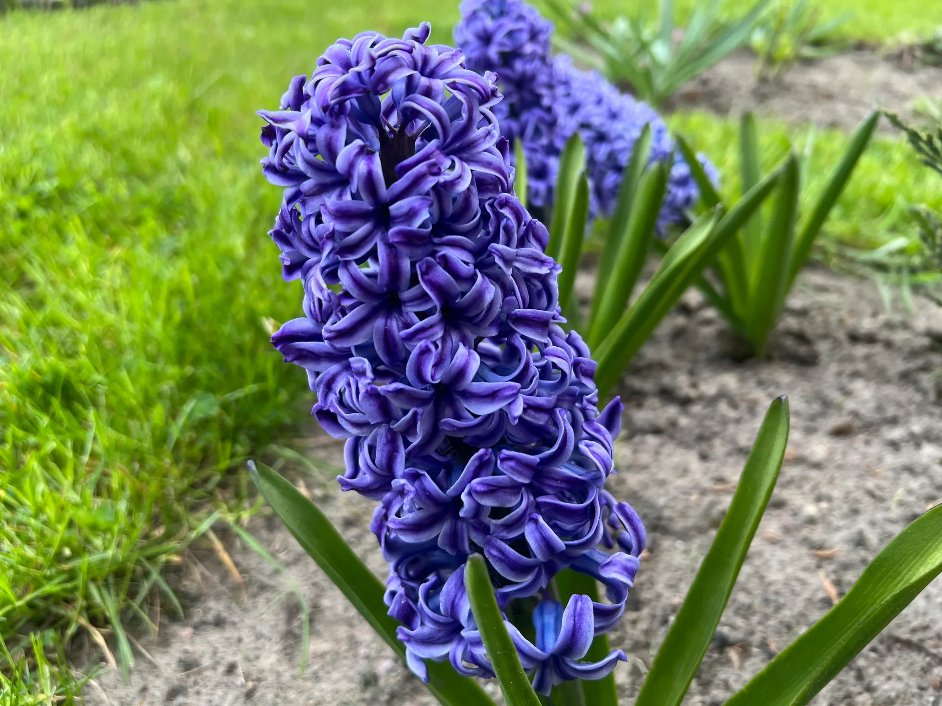 IMG_6847.jpeg