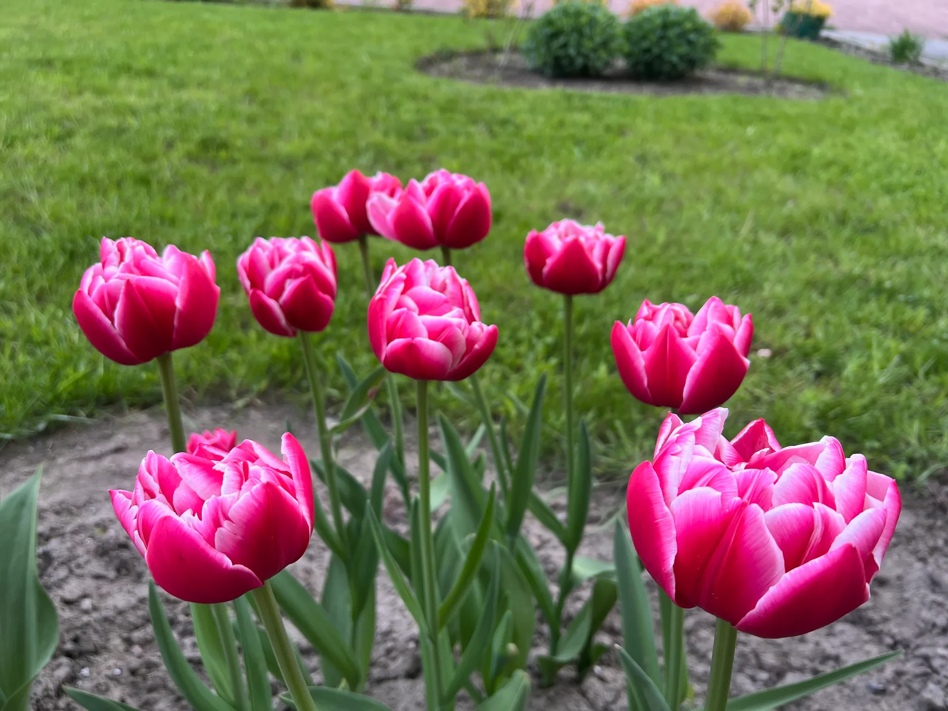 IMG_6849.jpeg