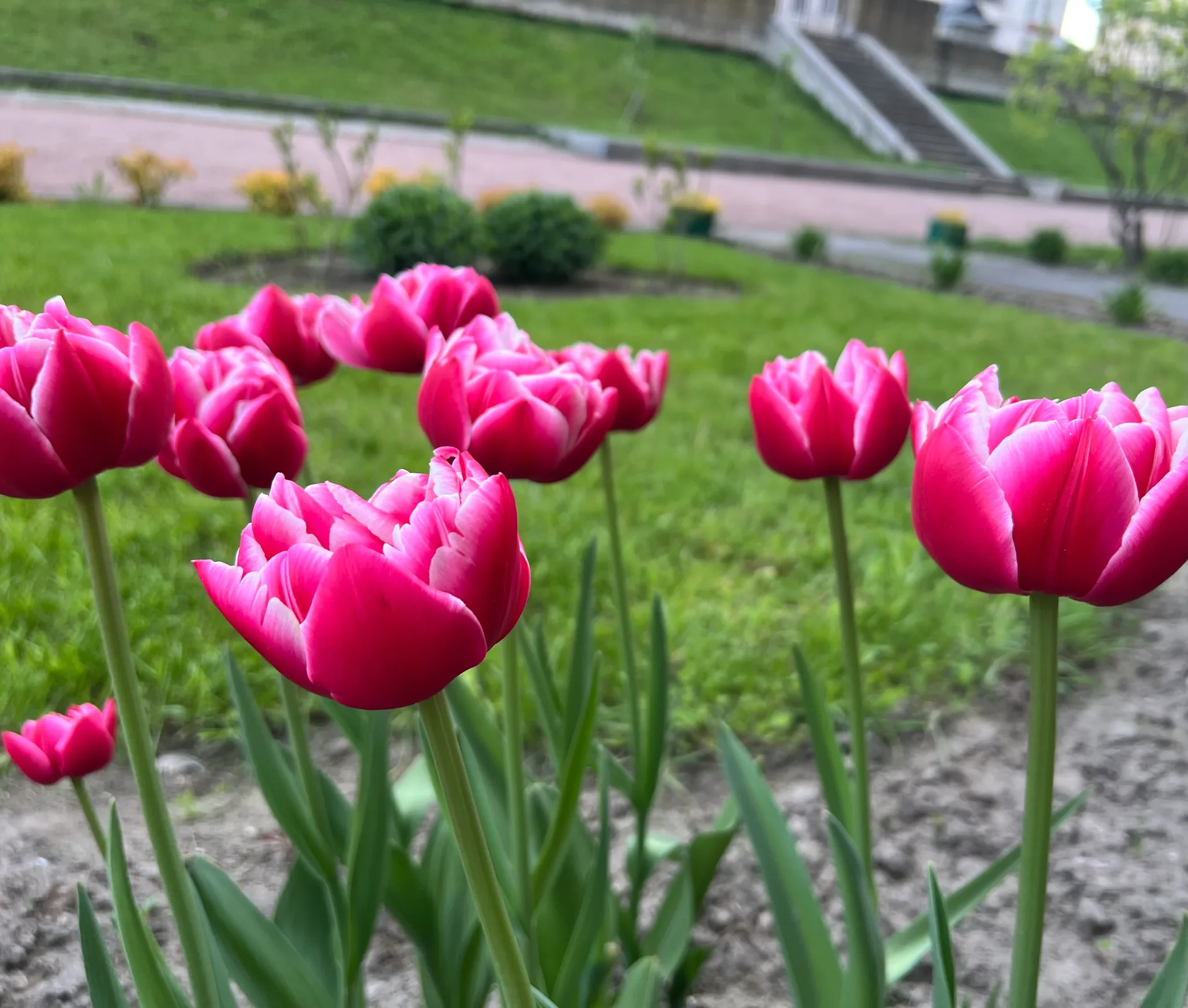 IMG_6851.jpeg