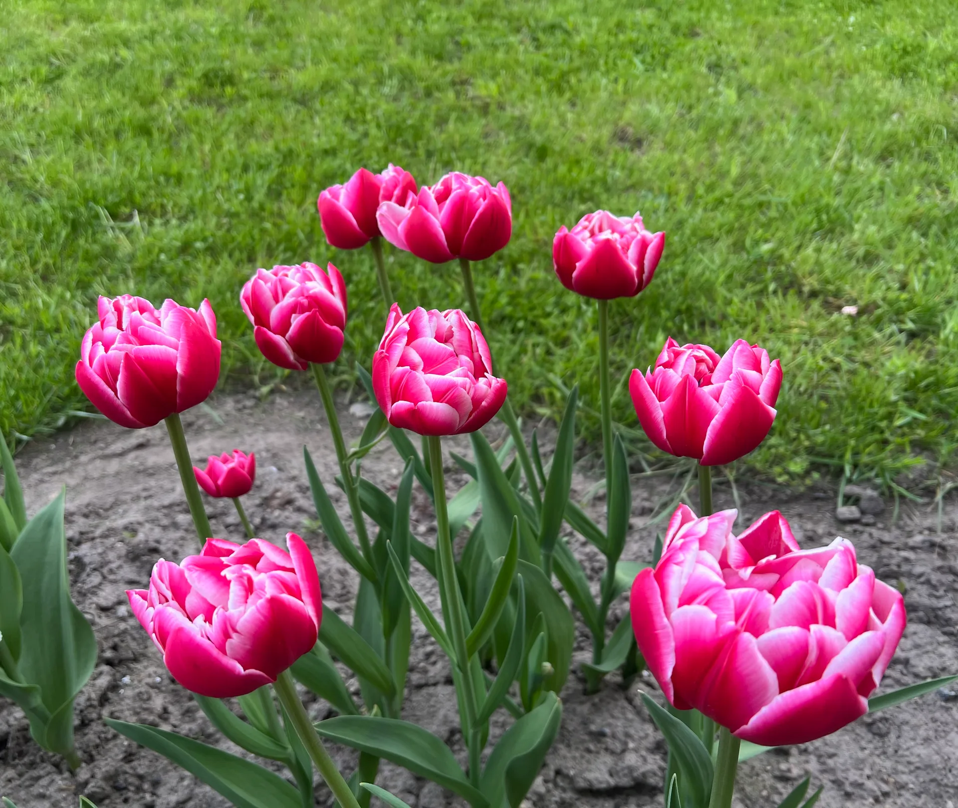 IMG_6850.jpeg